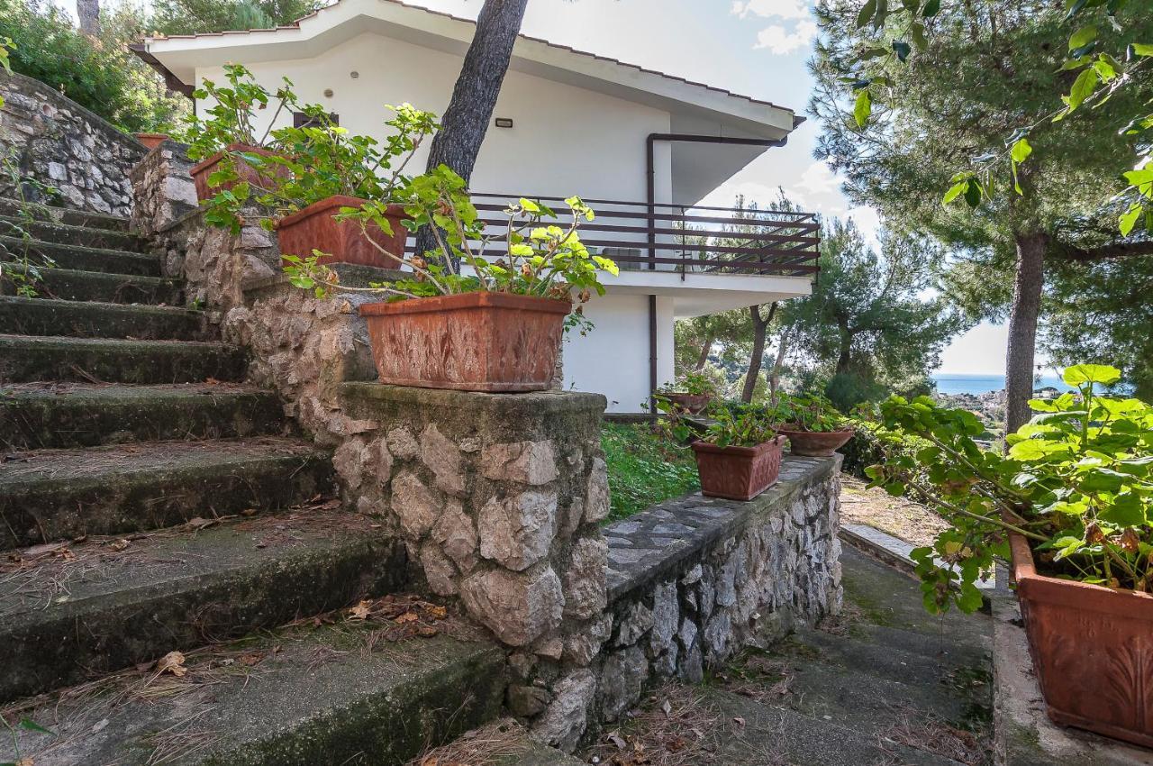 Casa Vacanza Kair Bilo 226 스펠론가 외부 사진